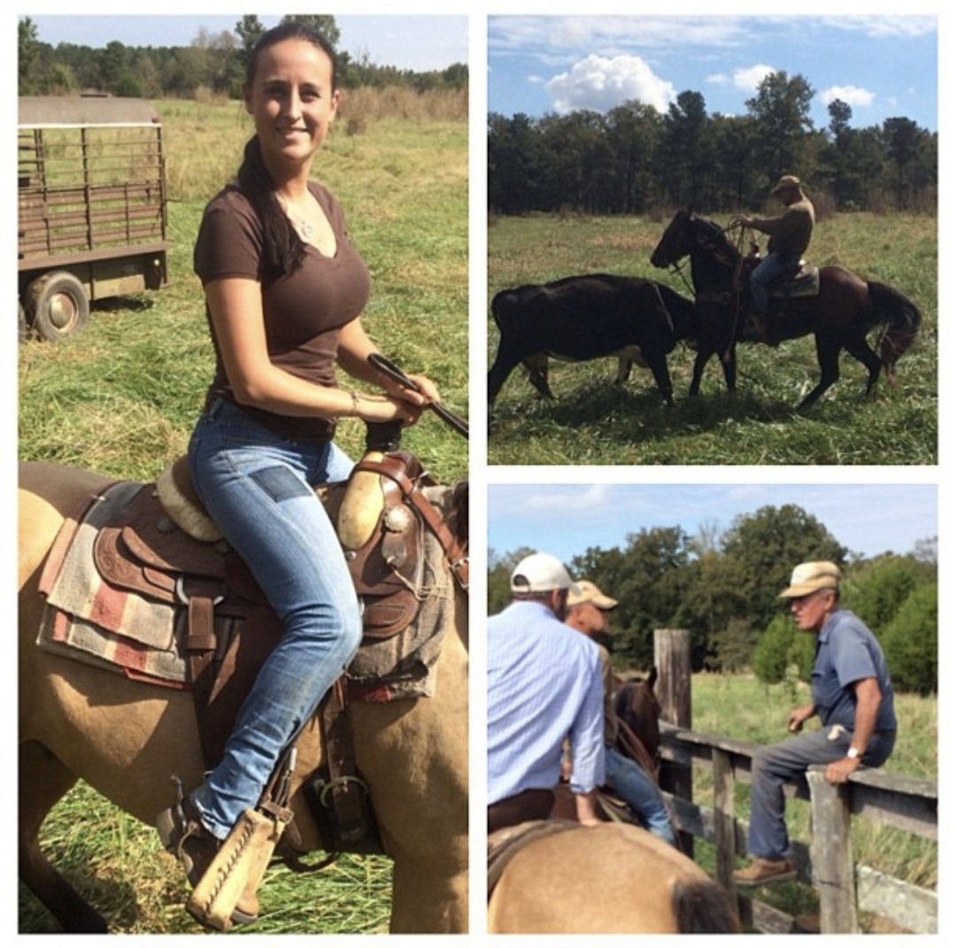 Nikki Bodie on horseback in a South Carolina pasture, with scenes of cattle work and men talking at a fence.