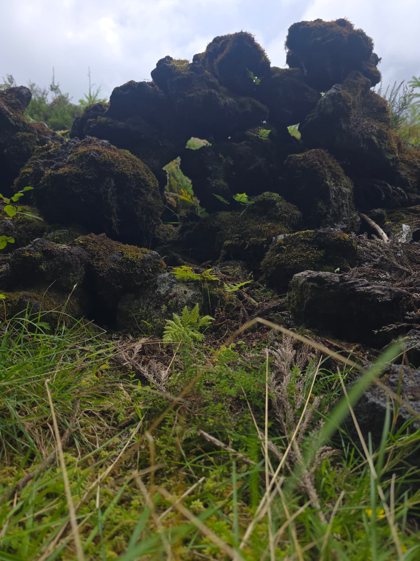 Mossy volcanic rocks piled on a green hillside.