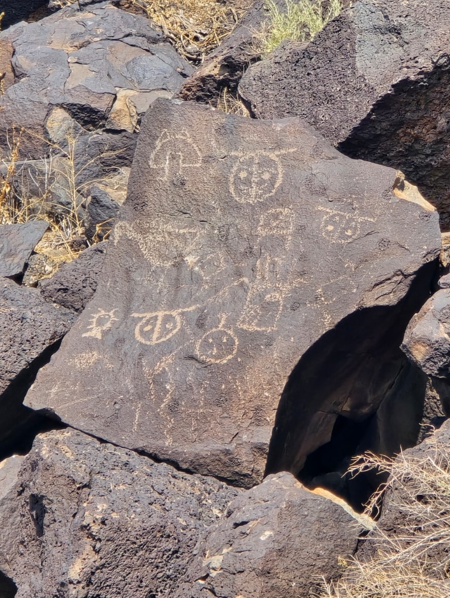 Petroglyphs carved into dark volcanic boulders among desert grasses.