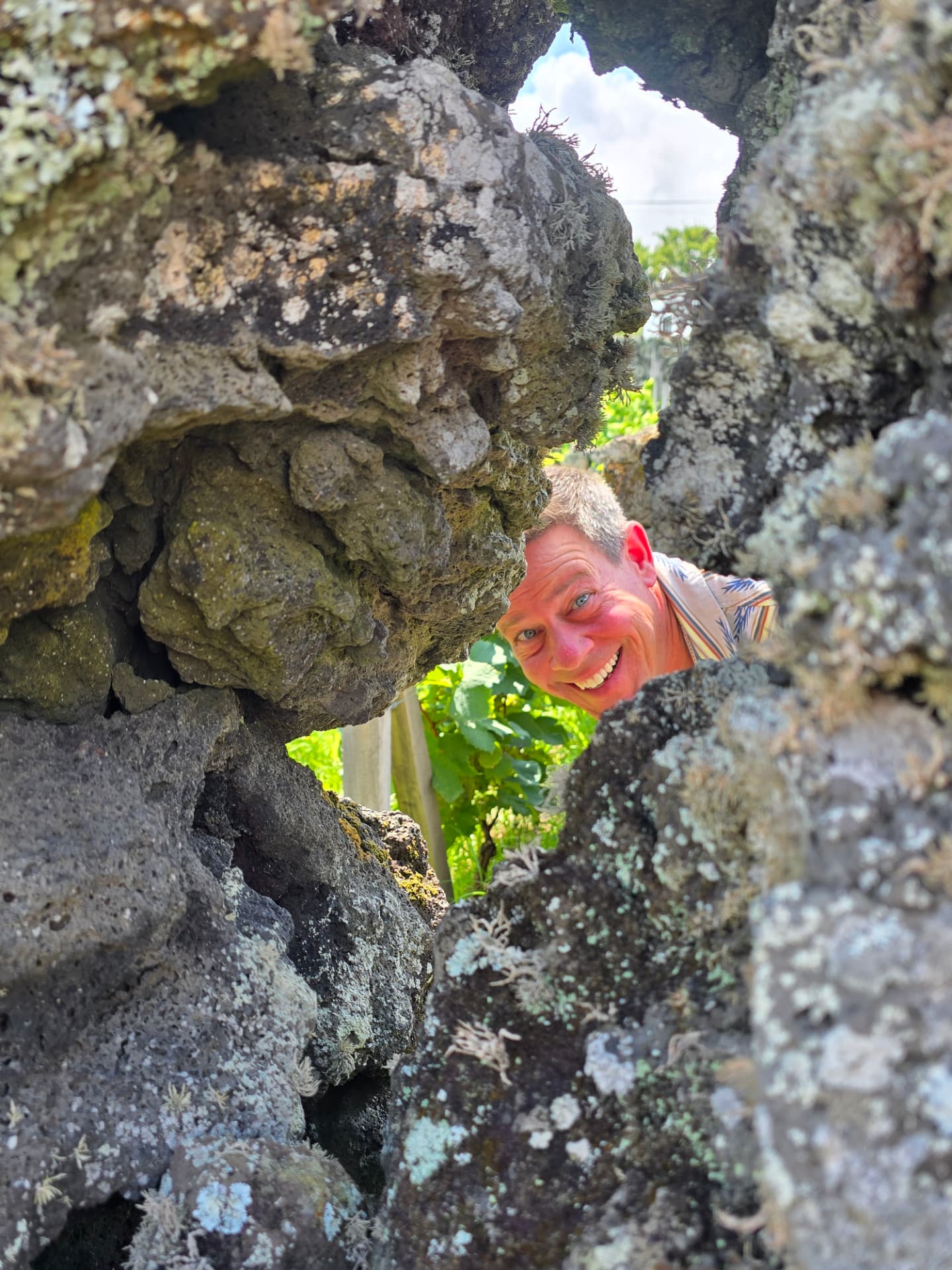 Q peeking through a gap in a lava-rock wall.