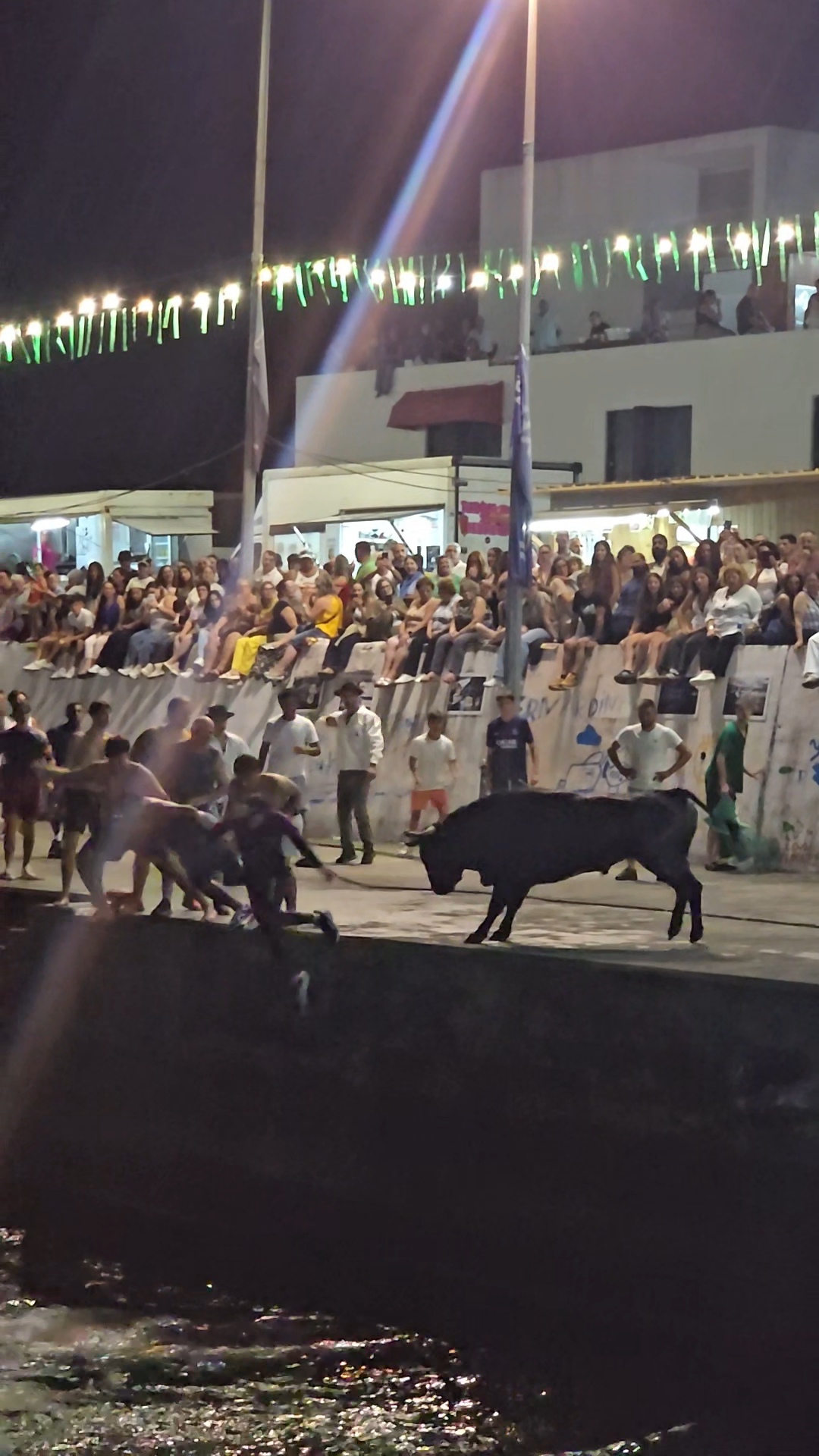 Crowds under string lights watching a bull charge at a night bullfight.
