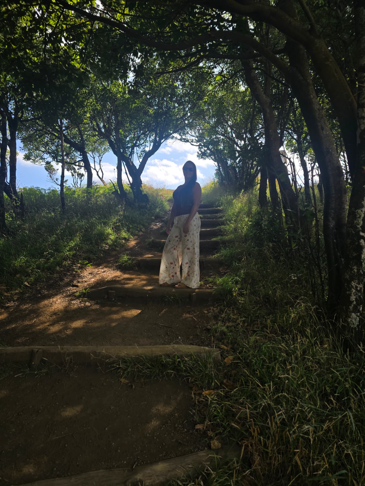 Nikki on a wooded path of steps beneath arching trees.