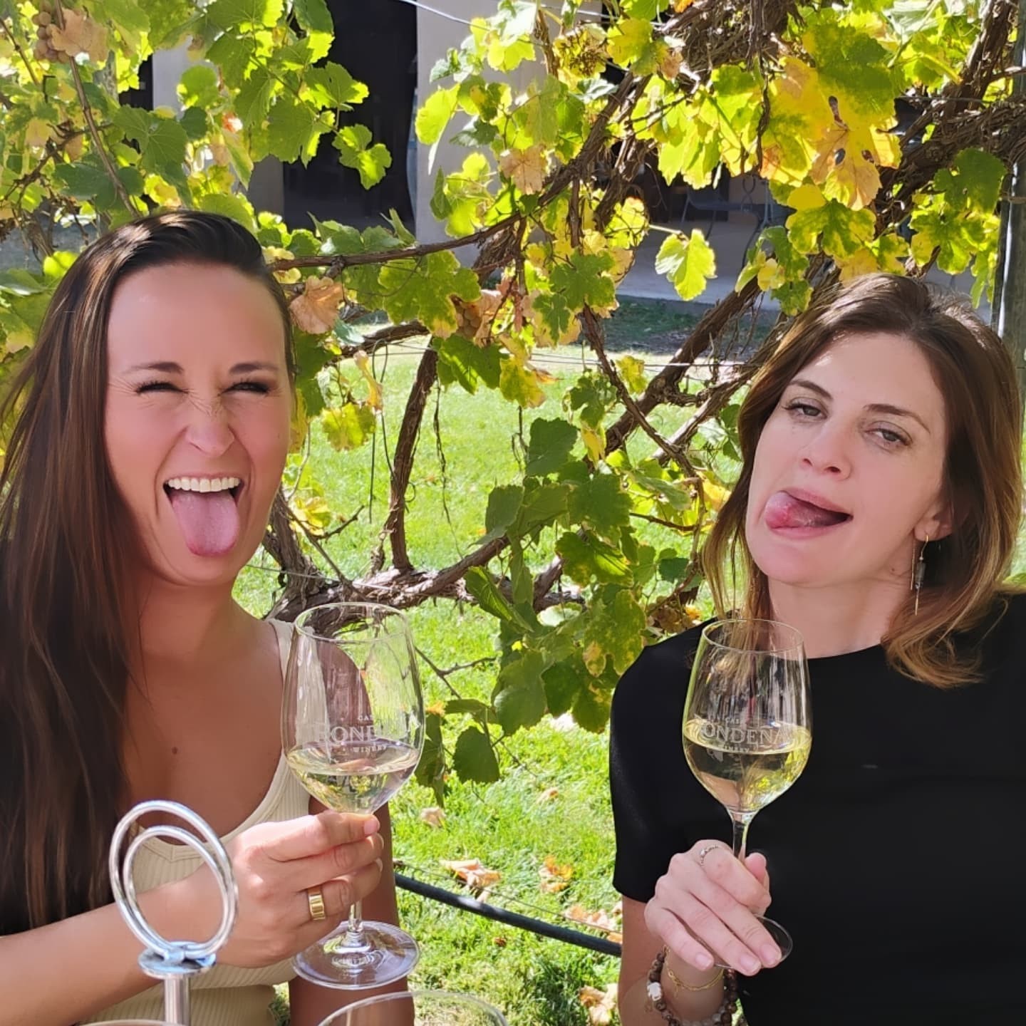 Nikki and Ali sticking their tongues out with glasses of wine under the vines.