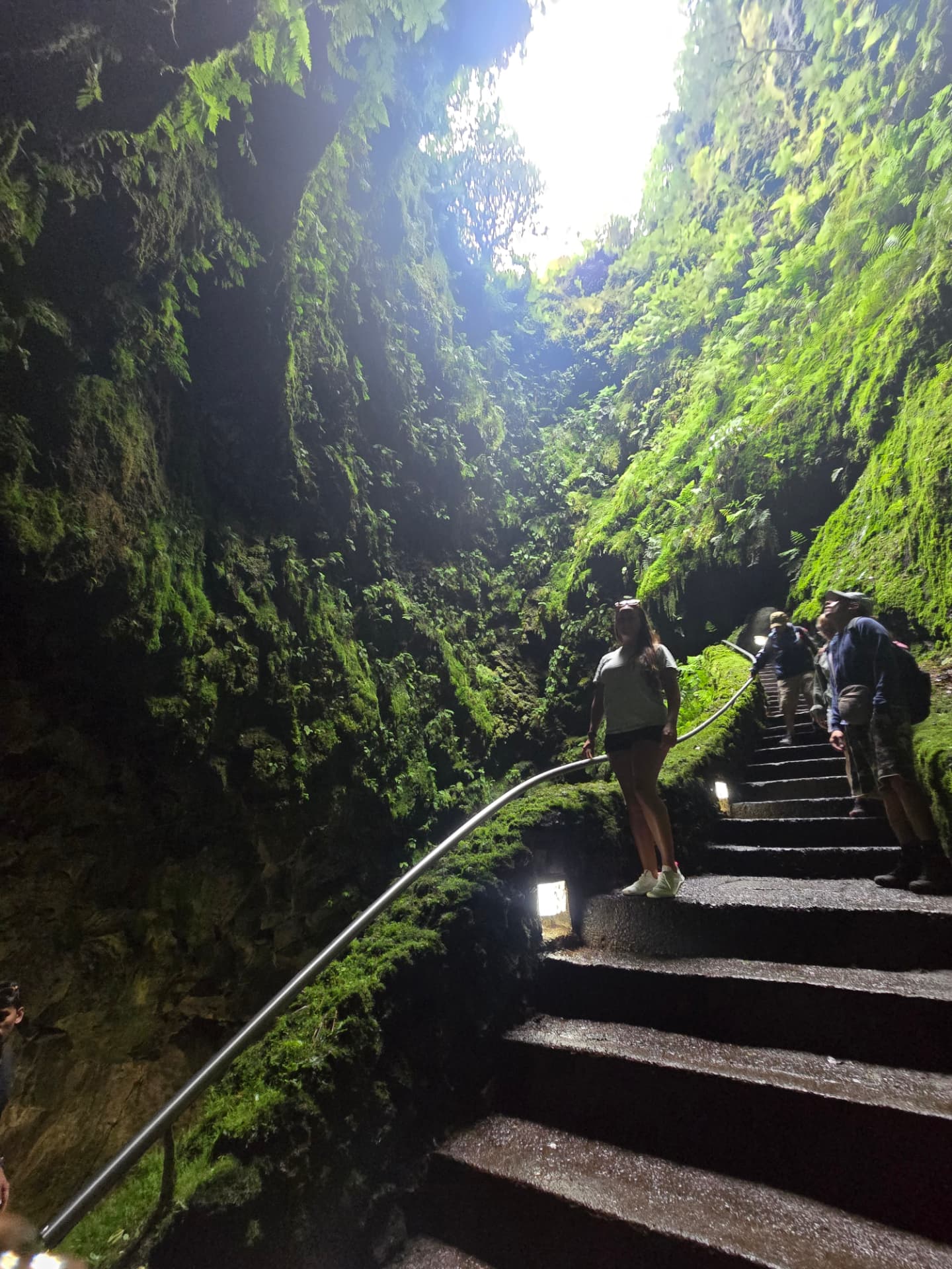 Stone stairs descending through the green walls inside Algar do Carvão.