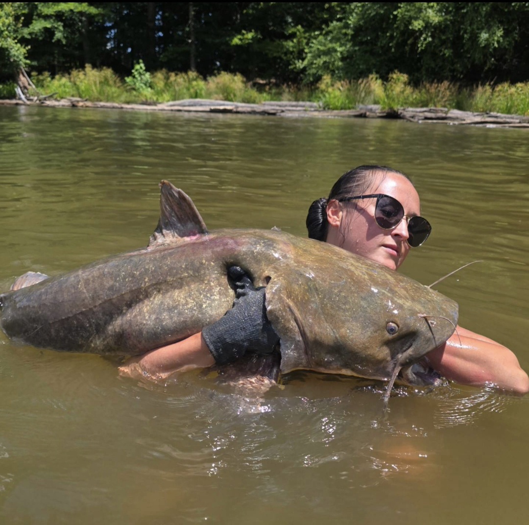 Nikki in the water with a huge catfish held across her arms.
