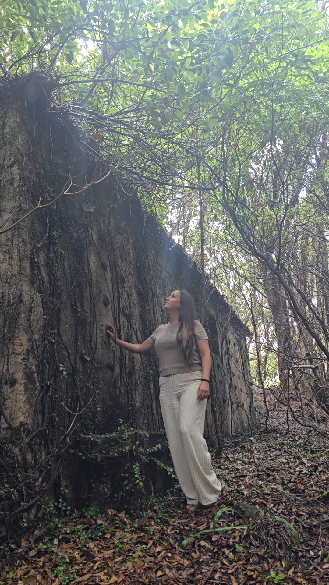 Nikki in the woods beside an enormous vine-covered abandoned wall, looking up, Terceira.