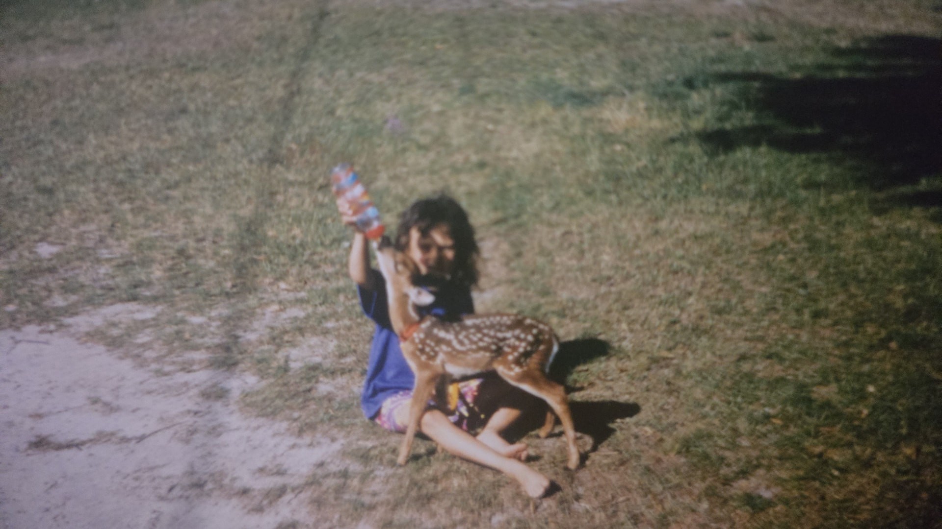 Young Nikki sitting in the grass bottle-feeding a spotted pet fawn.
