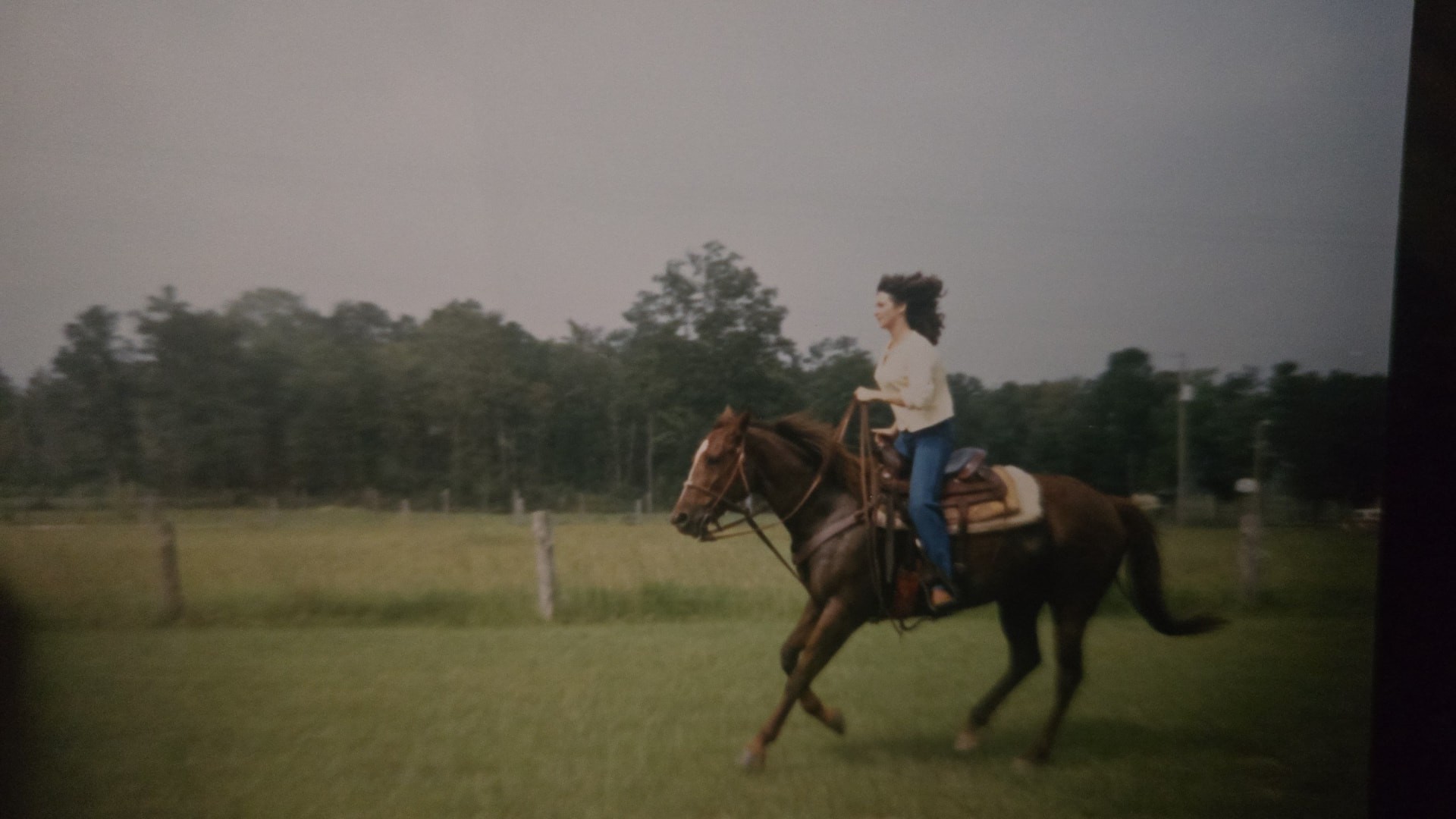 Nikki riding a chestnut horse at a lope across a green South Carolina pasture.