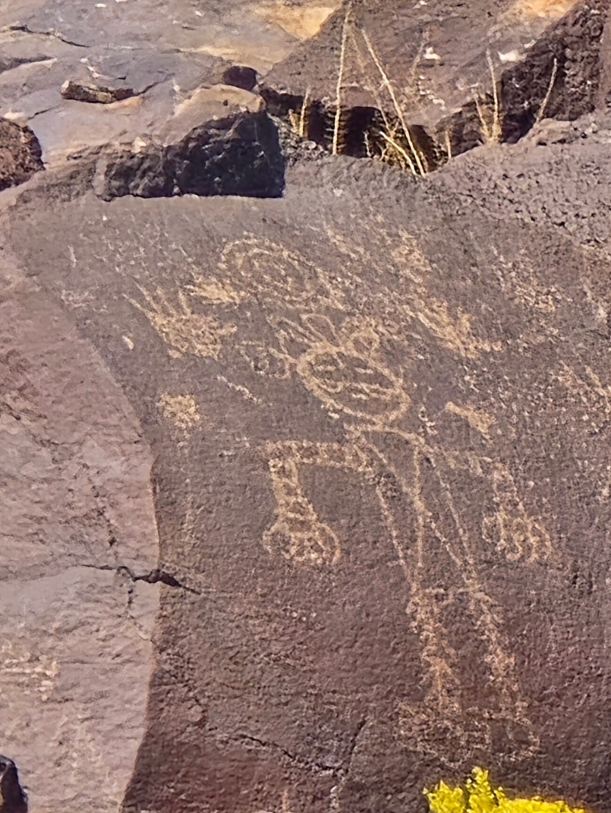 A dark boulder covered in carved circles, spirals and figures.