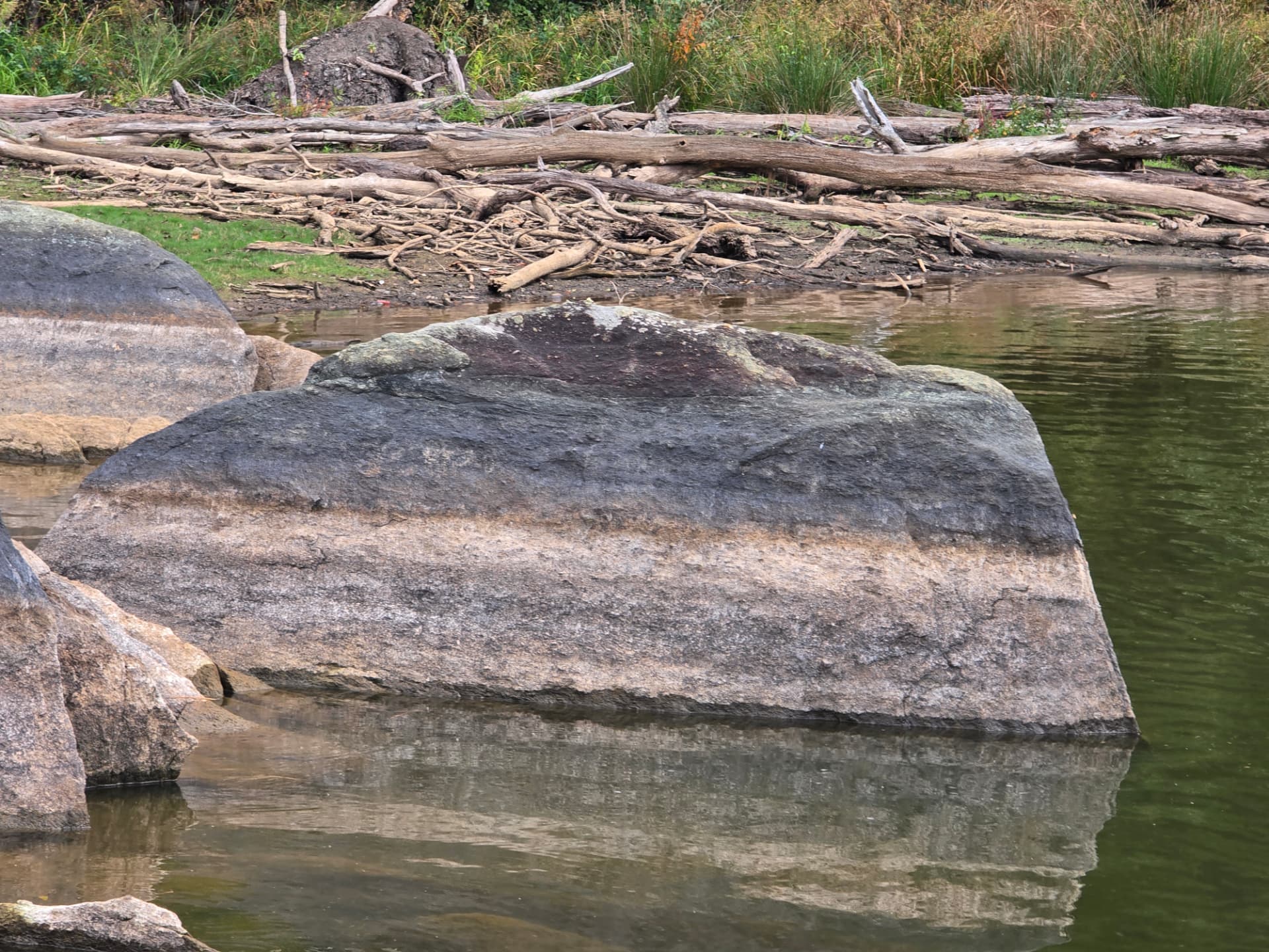 A striped boulder reflected in still green water, driftwood on the bank beyond.