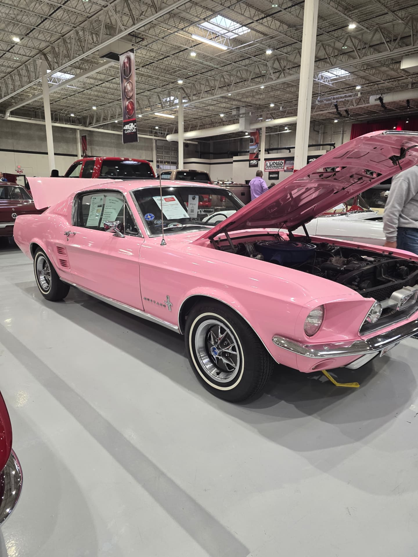 Reba Lou on display at the auction before bidding, her hood raised.