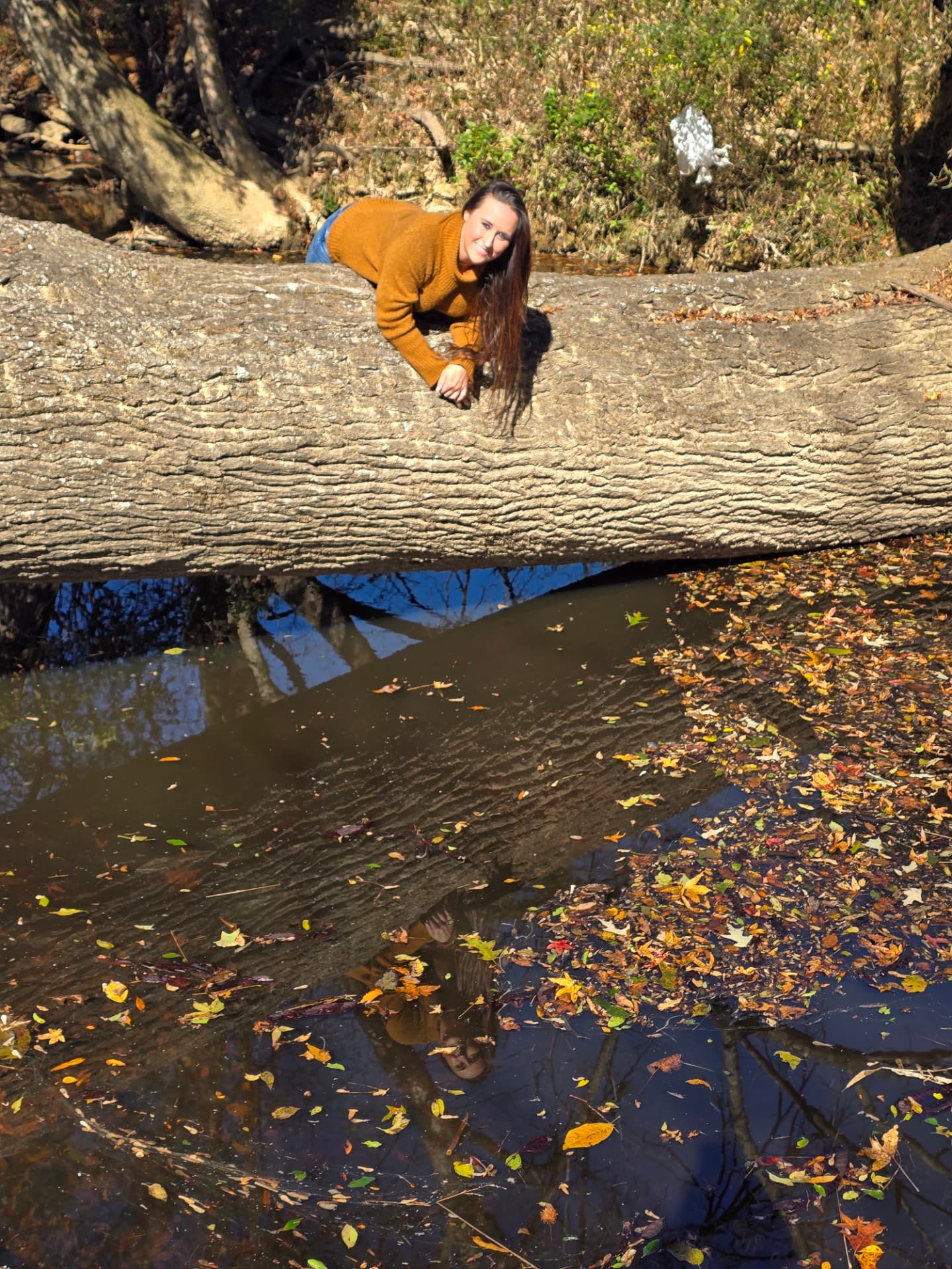 Nikki Bodie lying on her stomach along an enormous fallen tree over the creek, smiling, fall leaves on the water below.