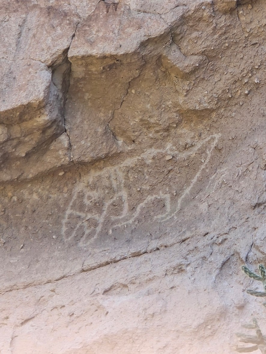 A faint carved figure on the pale volcanic rock at Bandelier.