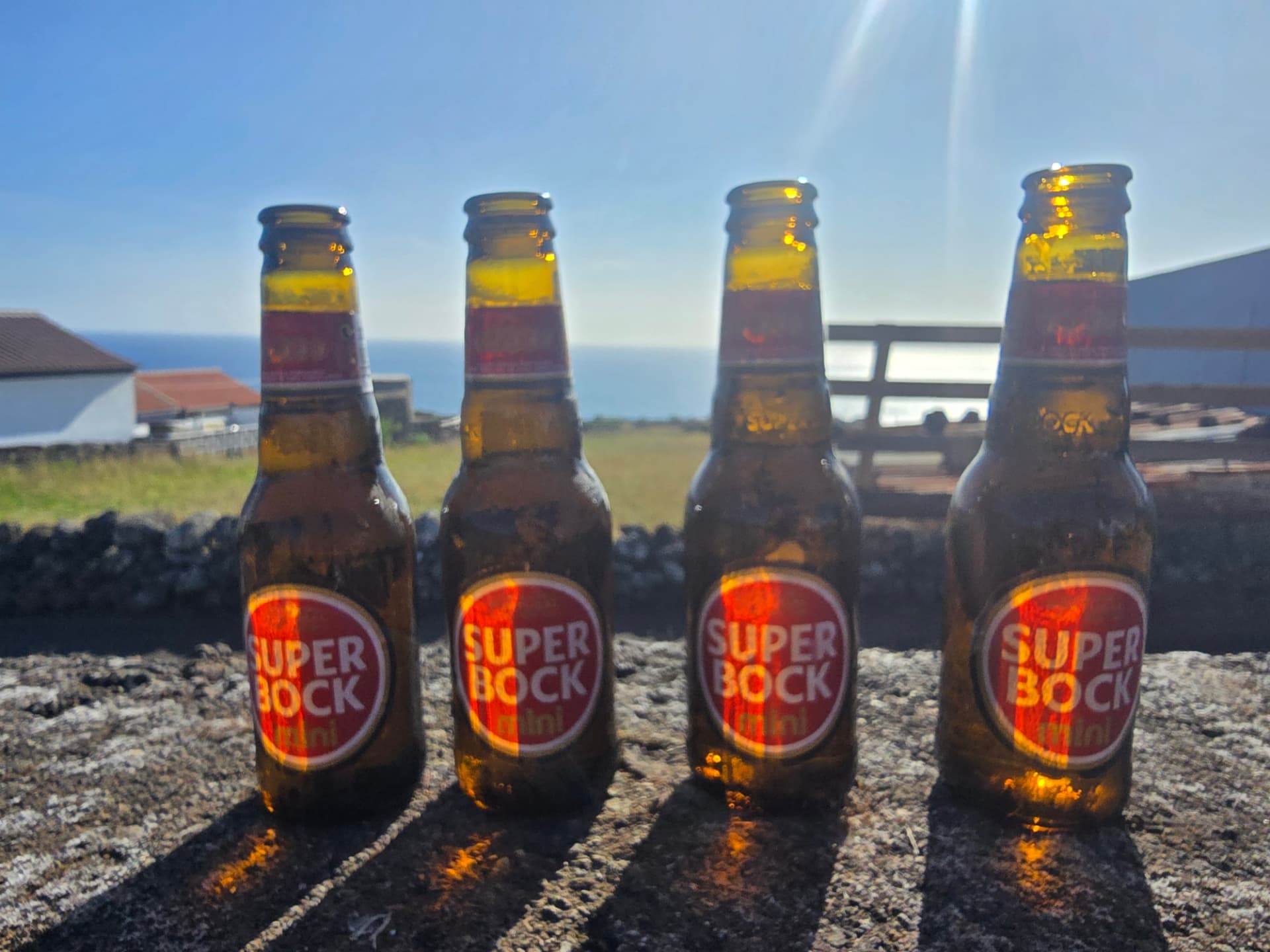 Four Super Bock minis glowing in the sun above the sea.
