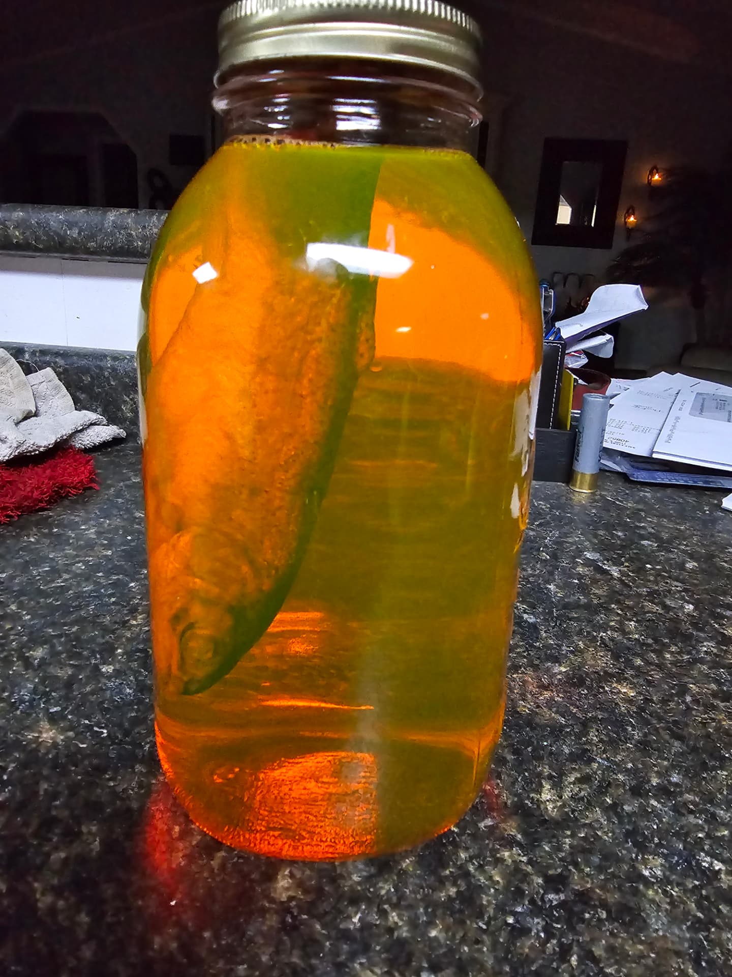 Nikki's first fish suspended in Grandma Reba's Mason jar on a granite countertop.
