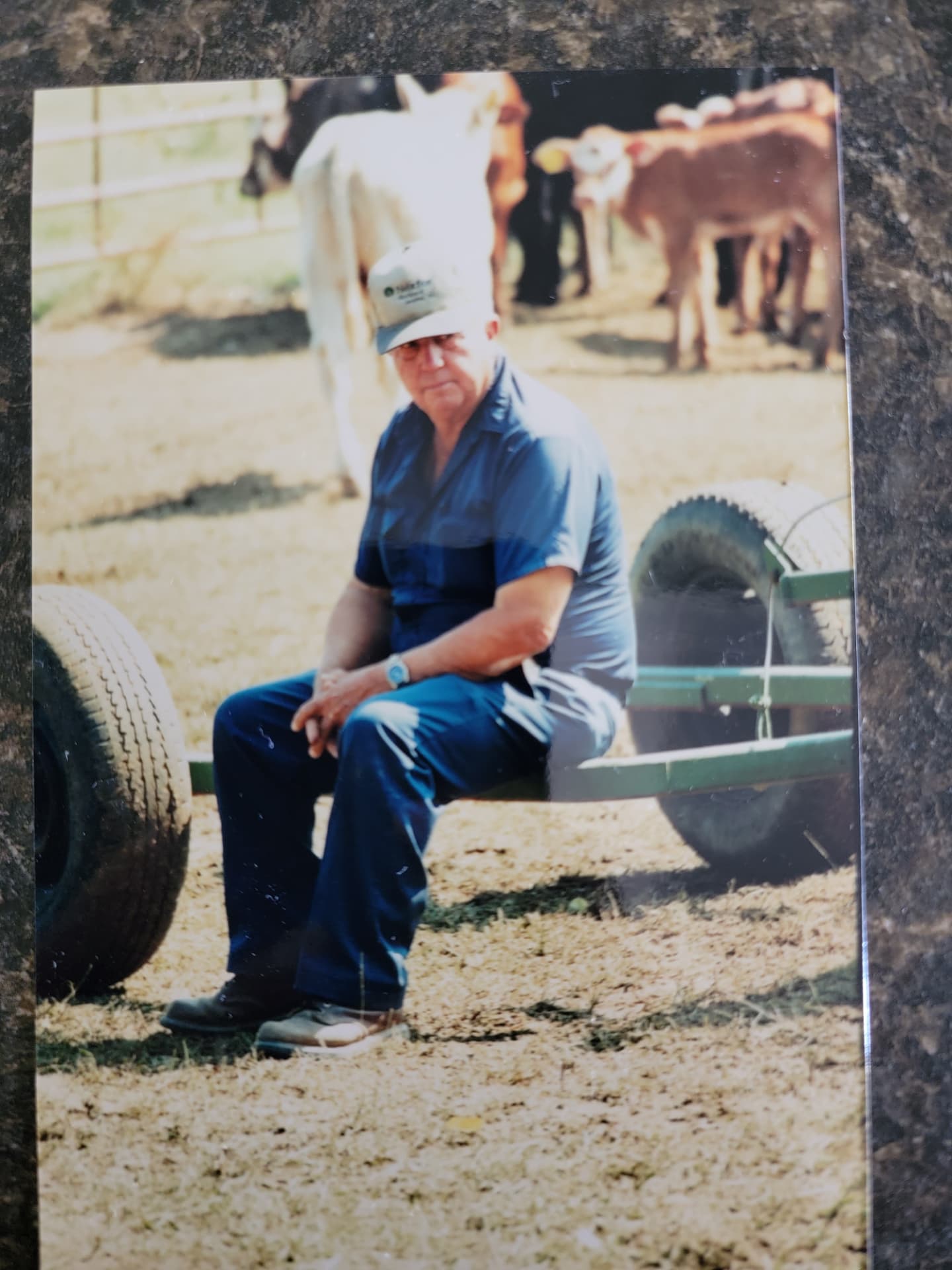 A faded color photograph of an older man in blue work clothes sitting on a green farm wagon, calves behind him.