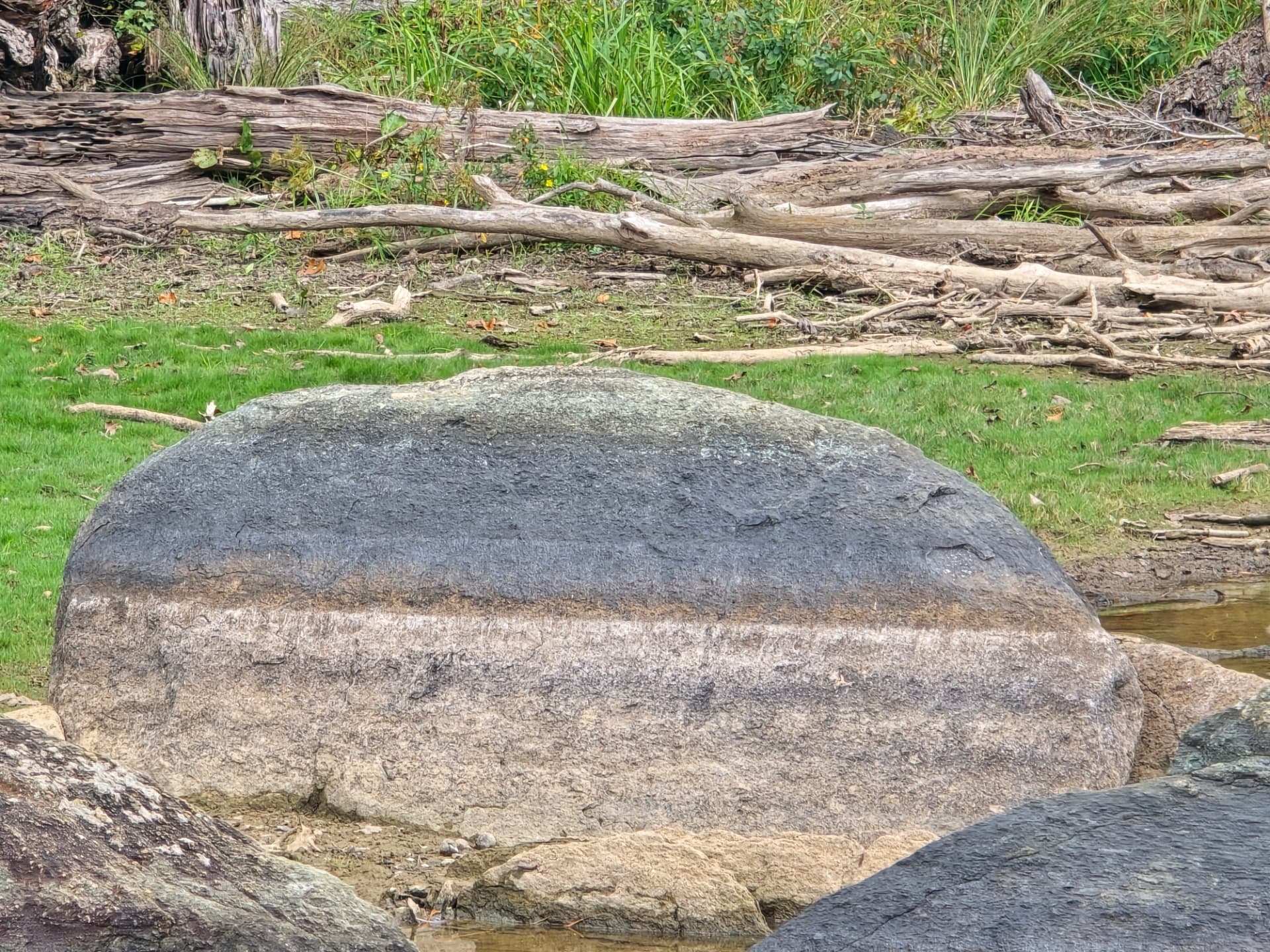 A large banded boulder on the grassy edge of the water on the farm, driftwood behind it.