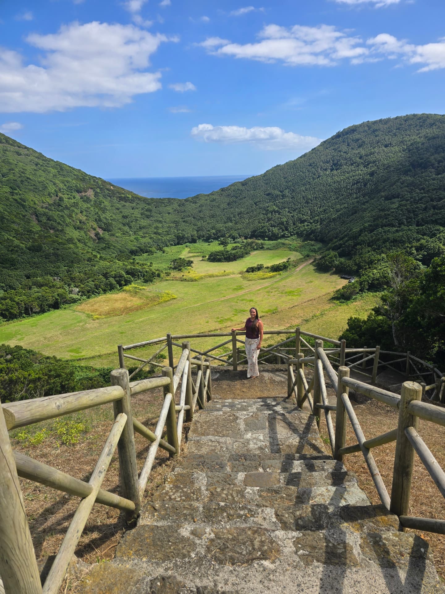 Wooden-railed steps leading down into a green valley toward the sea.