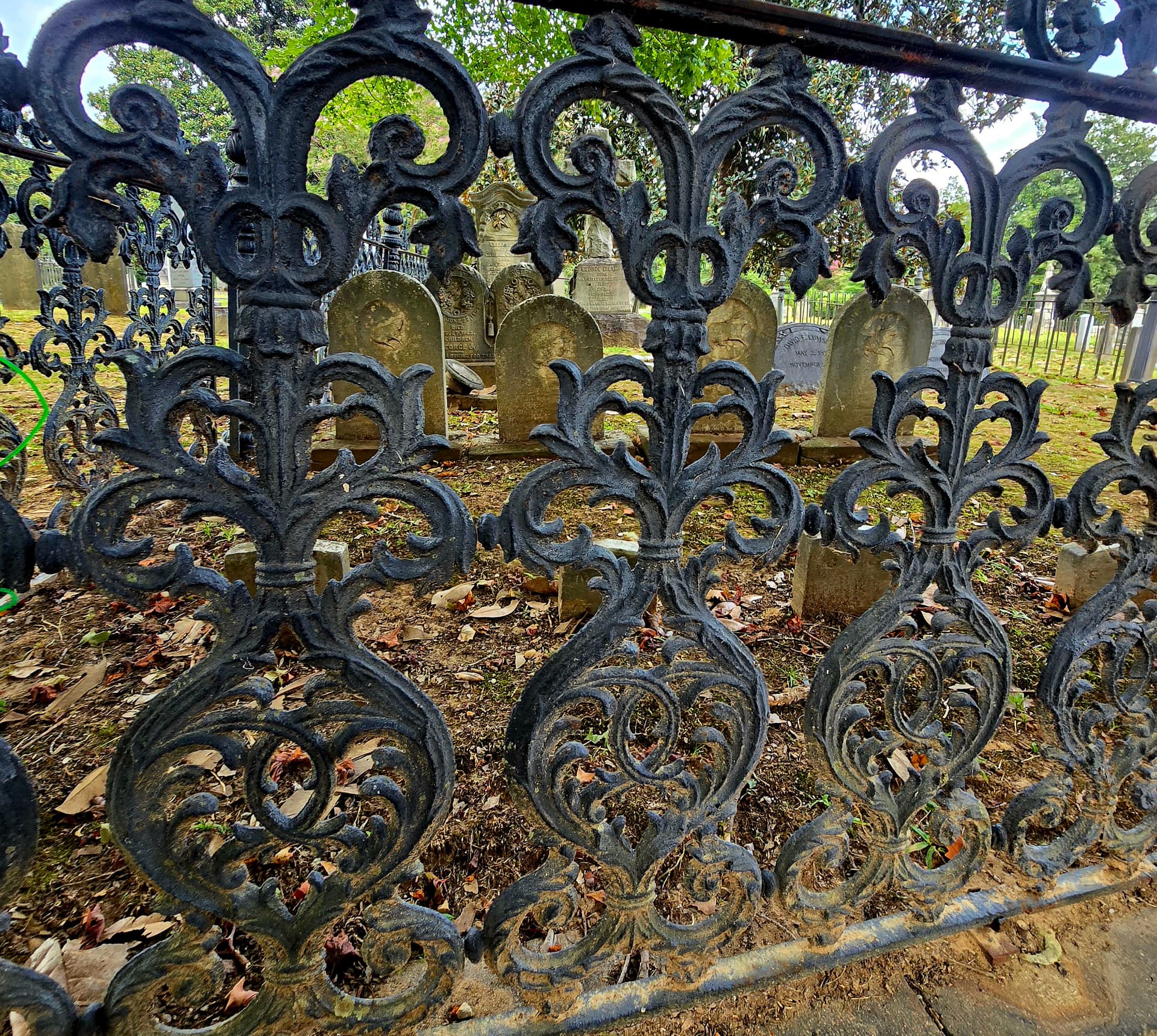 An ornate cast-iron cemetery fence, scrolled and rusting, enclosing a row of small weathered headstones in Hollywood Cemetery.