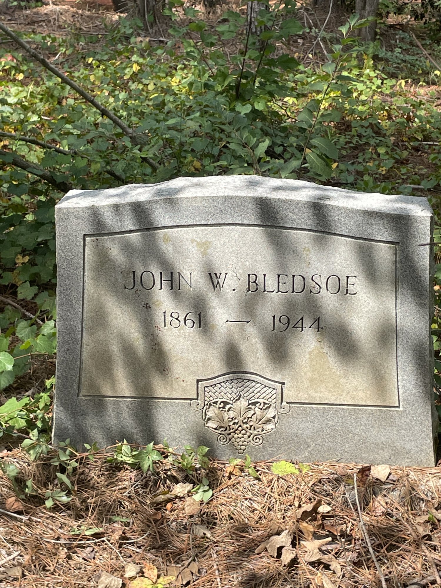A weathered arched granite headstone in the woods reading JOHN W. BLEDSOE, 1861-1944, carved with a grape-and-leaf emblem, surrounded by vines and pine straw.